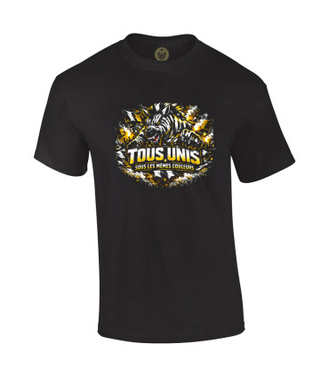 Tshirt Mania - Tous unis sous les mêmes couleurs !
