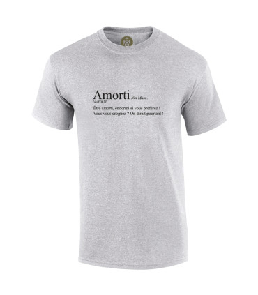 Tshirt Mania - Amorti (Définition)