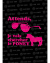 Attends, je vais chercher le poney