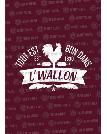 Tout est bon dans l'wallon Sweat